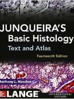 Junqueira's Basic Histology: Text and Atlas Paperback