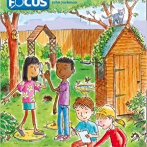Comprehension: Introductory Pupil Book (Collins Primary Focus)
