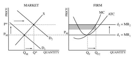 AP Real Microeconomics