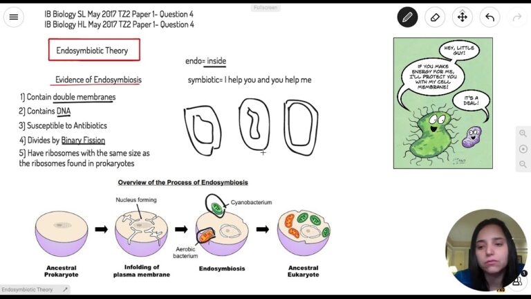 ib biology sl paper 2 structure