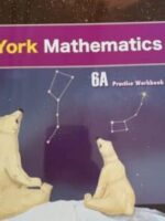 York mathematics 6A practice book