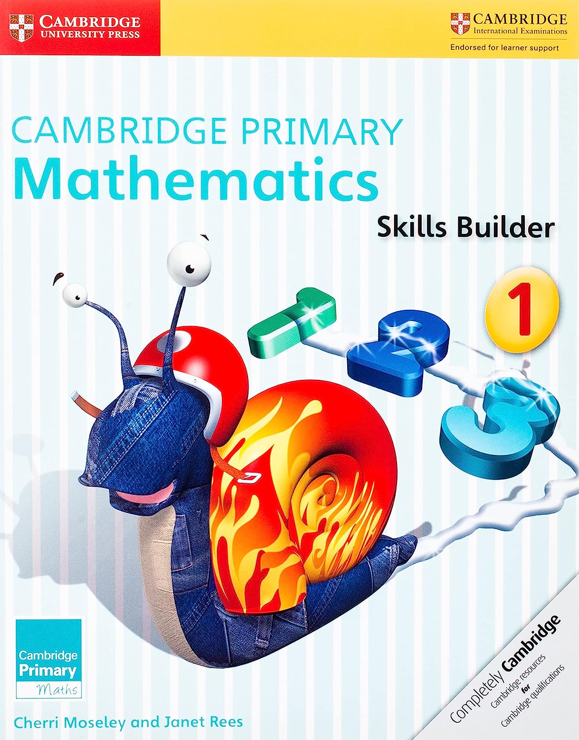 Cambridge primary mathmatics