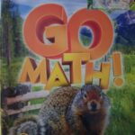 Go math series chapter 13 grade 4