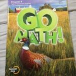 Go math Chapter 9 Algebra