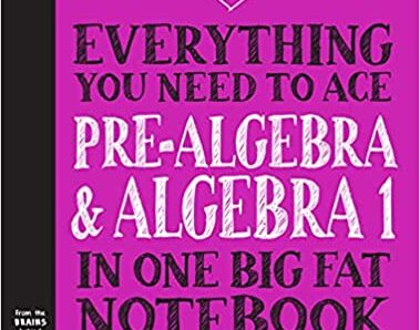 Everything You Need to Ace Pre-Algebra and Algebra I in One Big Fat Notebook (Big Fat Notebooks) Paperback – October 5, 2021