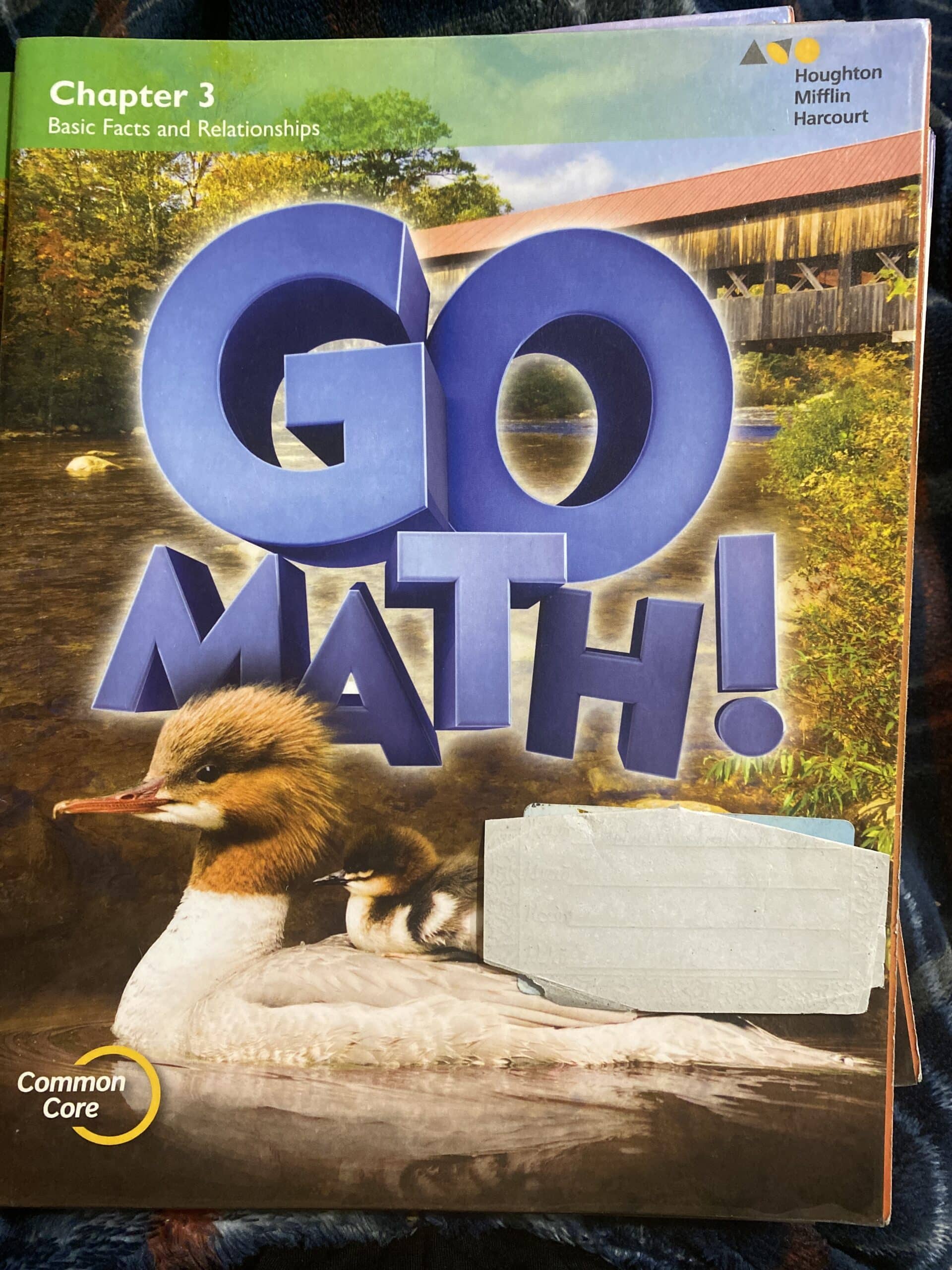 Go math! Chapter 3