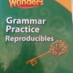 English Wonders Grammar practice Grade 4