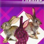 PLAID PHONICS 2011 STUDENT EDITION LEVEL K Student Edition