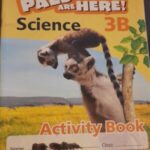 My Pals are Here 3B Activity book