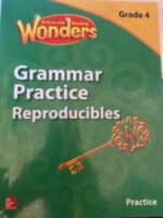 English Wonders Grammar practice Grade 4