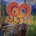 Go math series chapter 7 grade 4