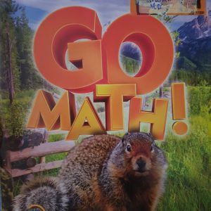 Go math series chapter 4