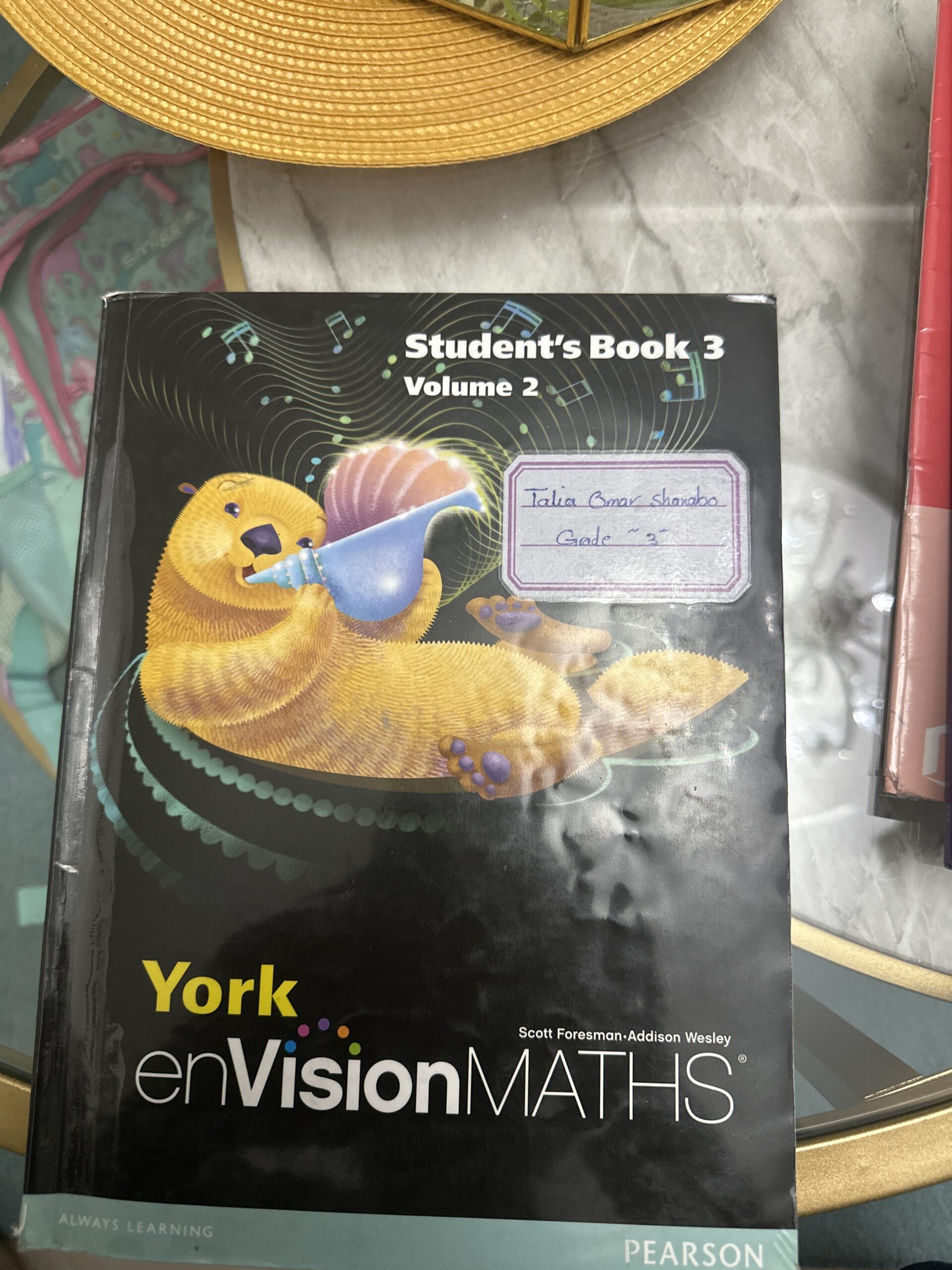 York enVision MATHS