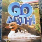 Go math chapter 8 grade 3