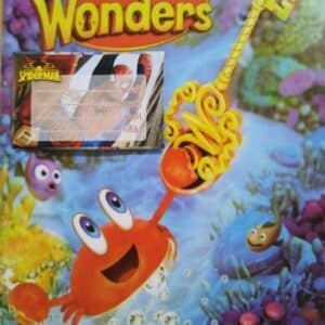 Wonders reading Wonders reading