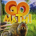 Go math chapter 2