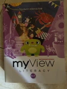 International my view literacy