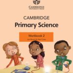 Primary science workbook